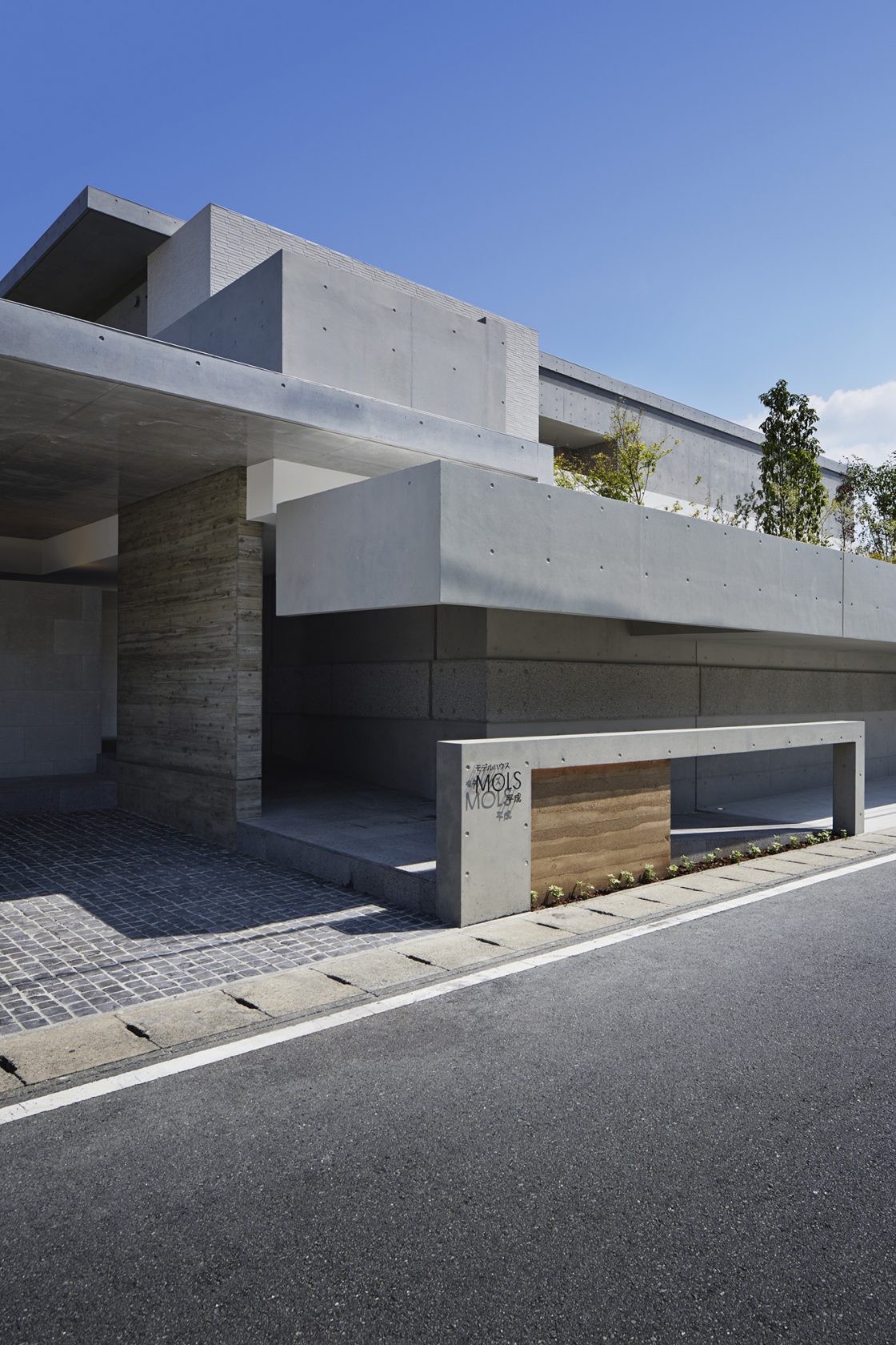 NEW YEAR 1 3tue 1 29sun MOLS NEW YEAR 1 3tue 1 29sun MOLS